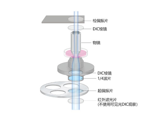 用于成像的Senarmont補(bǔ)償.jpg