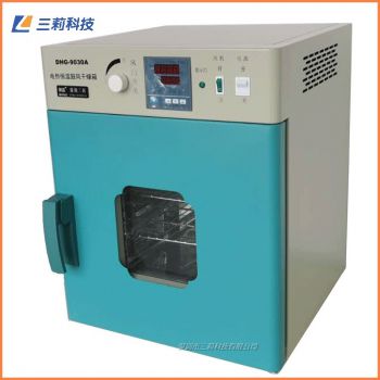 250℃立式電熱鼓風干燥箱 DHG-9030A250℃烘箱